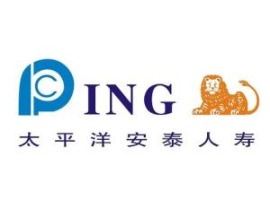 首创安泰人寿,中外合资寿险公司的成长之路与未来展望”