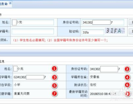 学籍档案查询系统,便捷掌握学生信息新途径