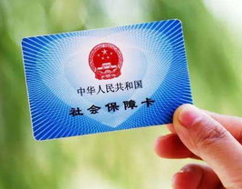 广东省社保,构建全民共享的社会保障体系