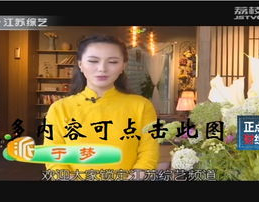 江苏综艺频道直播,银龄综艺新风尚，互动体验再升级
