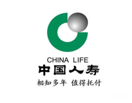 人寿保险可靠吗,保障与信任的完美结合