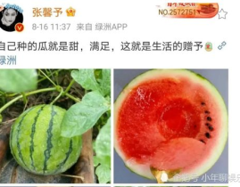 娱乐新鲜事吃瓜,揭秘明星幕后故事