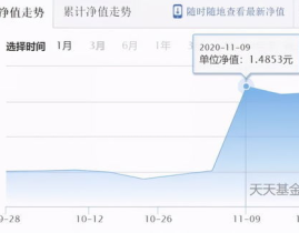 长城品牌基金净值,稳健增长背后的投资逻辑”