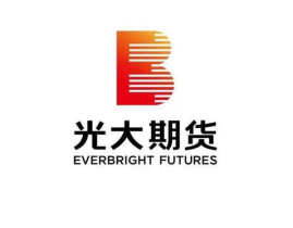 光大期货,综合实力与服务优势解析