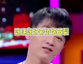 娱乐陈晓吃瓜小说,娱乐圈的甜蜜瓜田